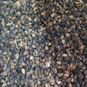 PHOTO-2022-09-03-13-14-38 2