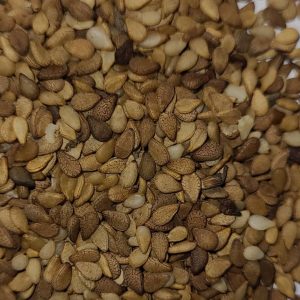 PHOTO-2022-09-03-13-18-01