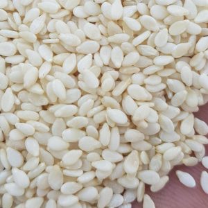 PHOTO-2022-09-03-13-21-25 2