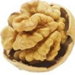 PHOTO-2022-11-22-22-55-27