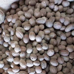 PHOTO-2022-11-24-17-06-31