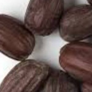 PHOTO-2022-11-24-17-12-45