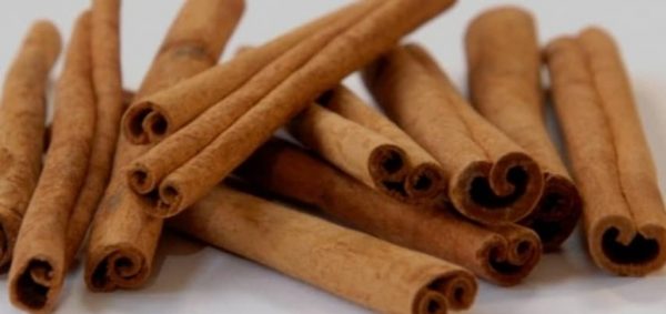 PHOTO-2022-11-24-17-23-36