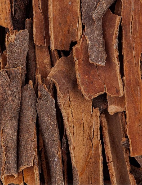 PHOTO-2022-11-24-17-25-04