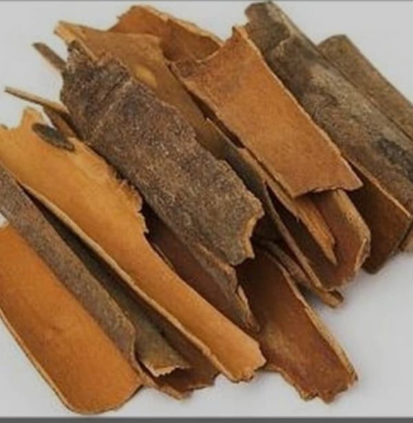 PHOTO-2022-11-24-17-27-19 2