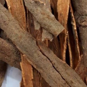 PHOTO-2022-11-24-17-28-35 2