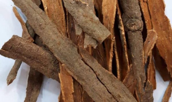 PHOTO-2022-11-24-17-28-35 2