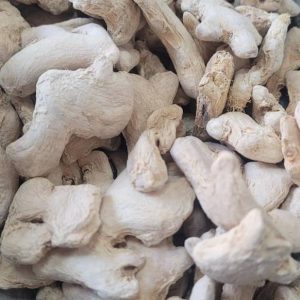 PHOTO-2022-11-24-17-33-30