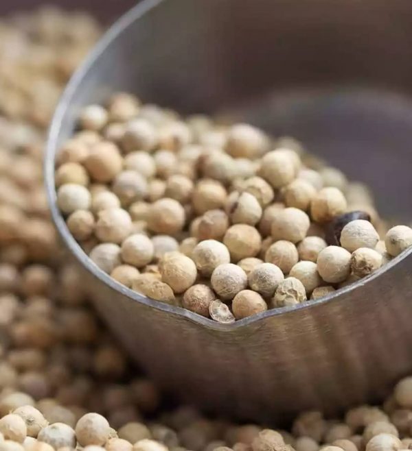 PHOTO-2022-11-24-17-54-29