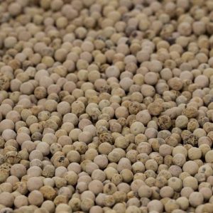 PHOTO-2022-11-24-17-55-28