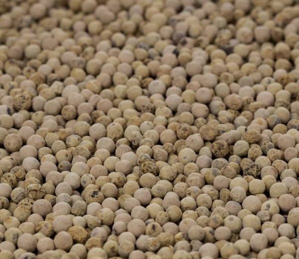 PHOTO-2022-11-24-17-55-28