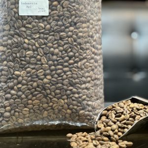 روبوستا اندونزی AP1