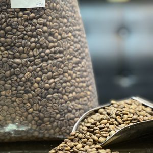 روبوستا اوگاندا (2)